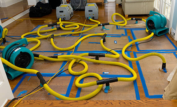 Professional Crawl Space Water Removal technician working in Hamilton, GA